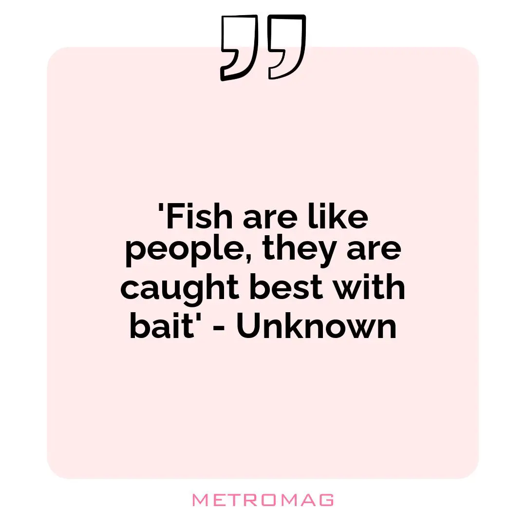 'Fish are like people, they are caught best with bait' - Unknown