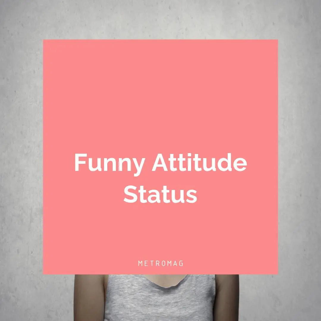 Funny Attitude Status