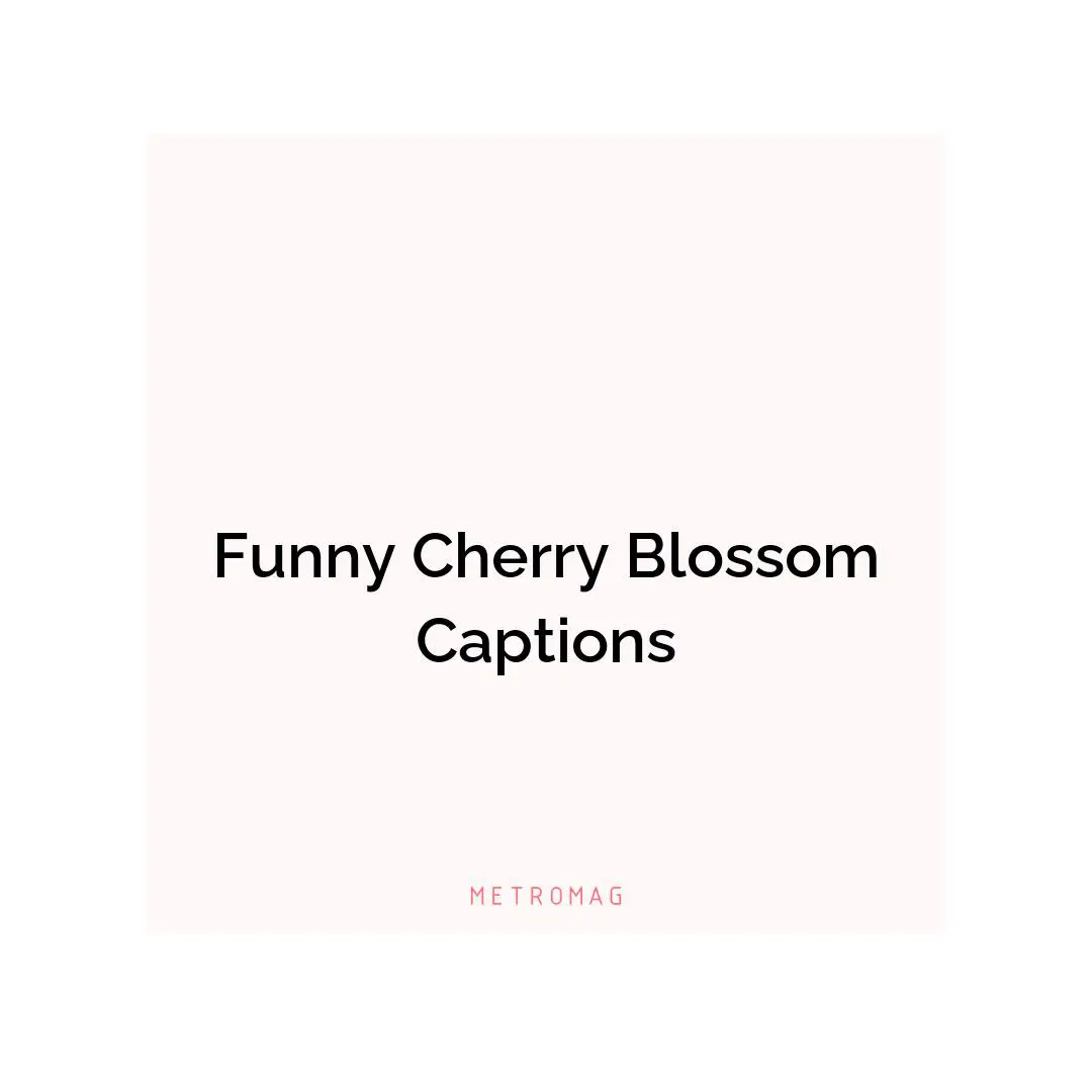 Funny Cherry Blossom Captions