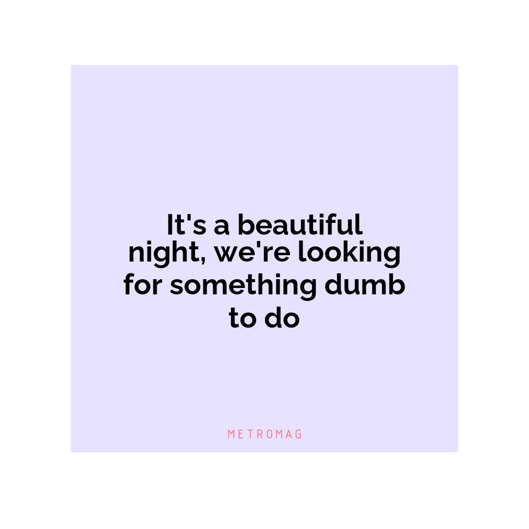 It's a beautiful night, we're looking for something dumb to do