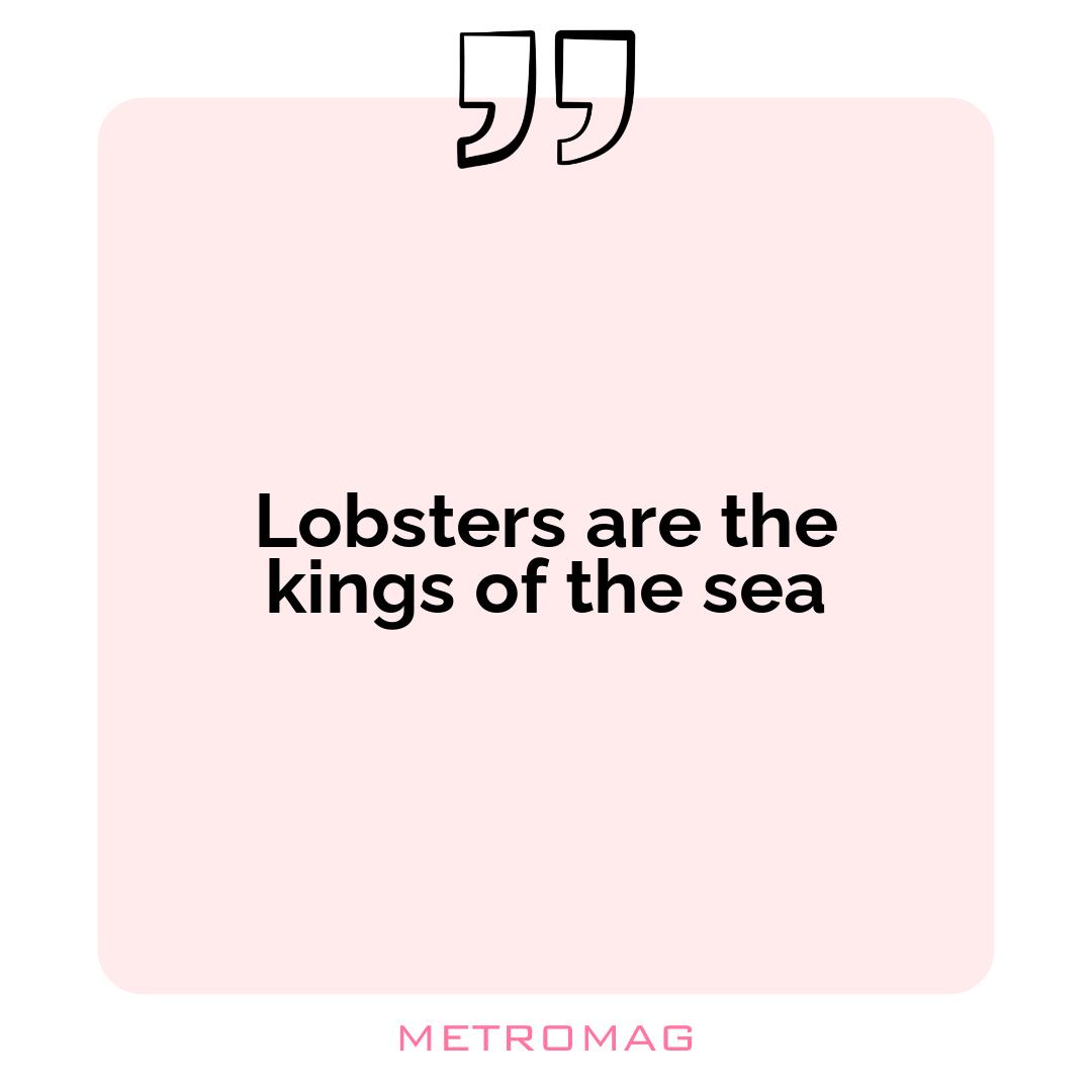 Lobsters are the kings of the sea