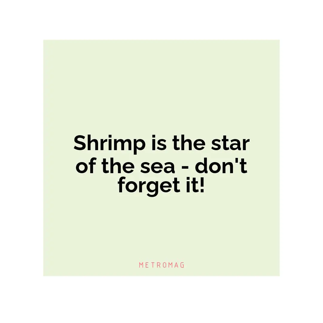 Shrimp is the star of the sea - don't forget it!