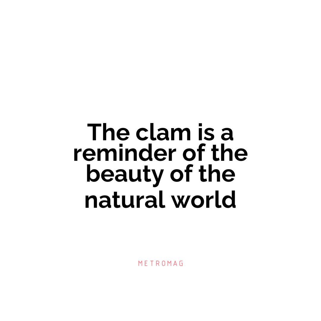 The clam is a reminder of the beauty of the natural world