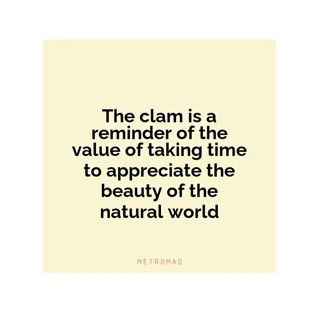 The clam is a reminder of the value of taking time to appreciate the beauty of the natural world