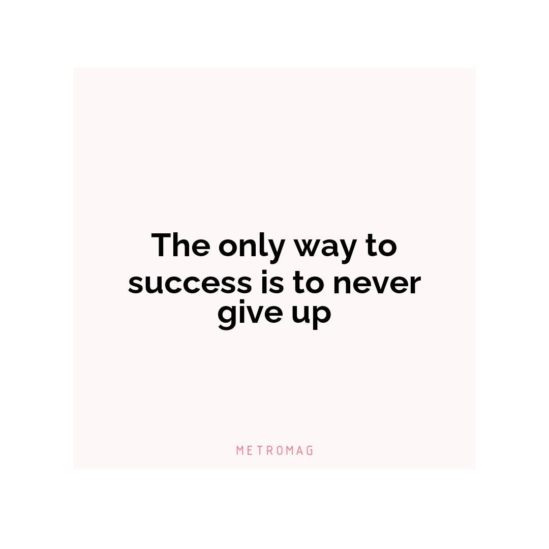 The only way to success is to never give up