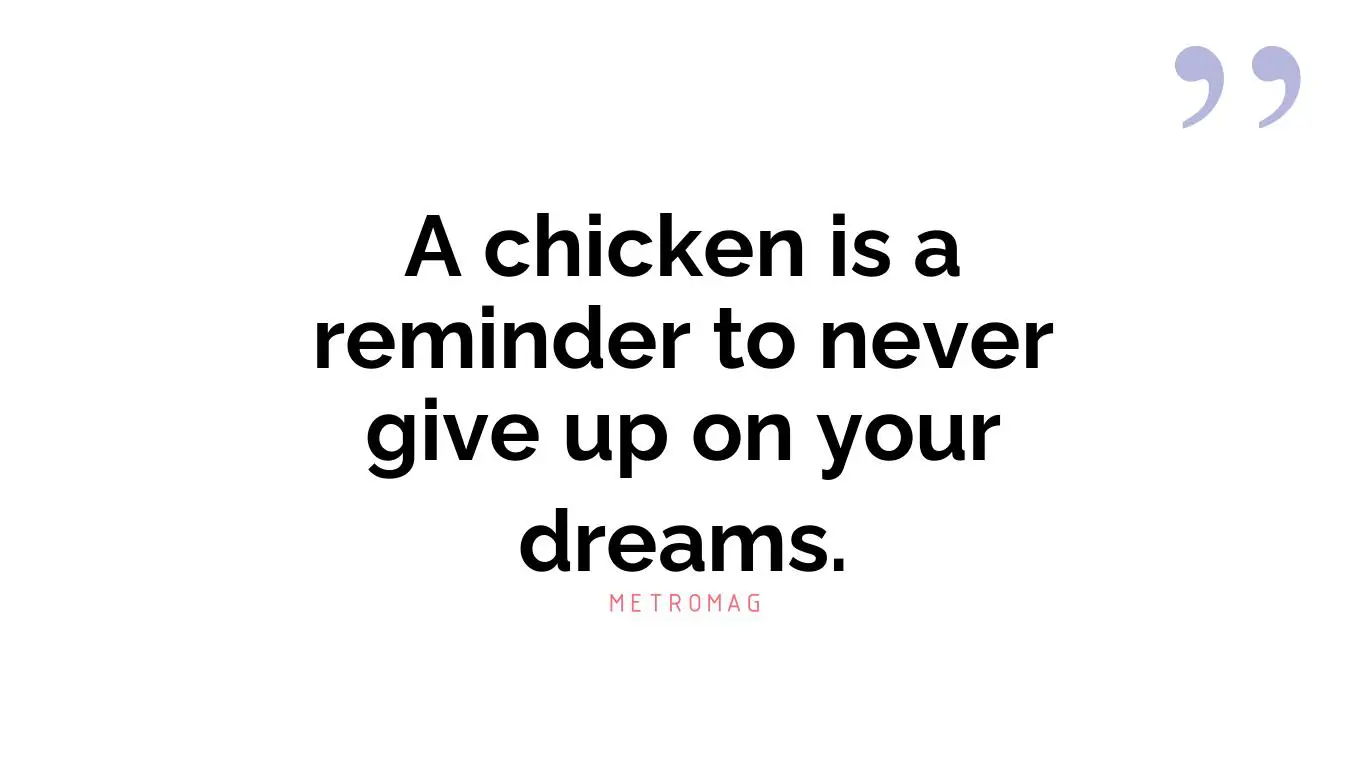 A chicken is a reminder to never give up on your dreams.
