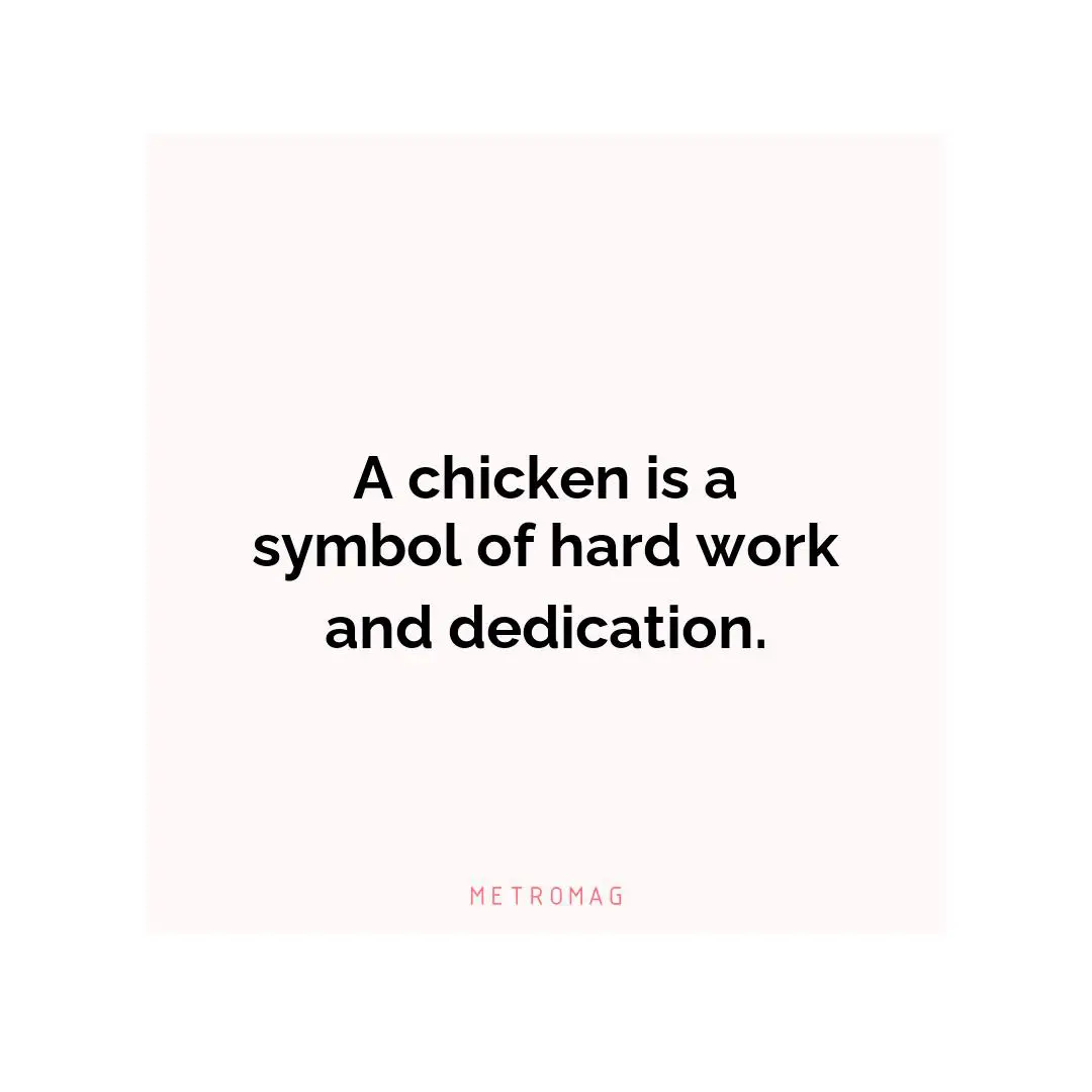 A chicken is a symbol of hard work and dedication.