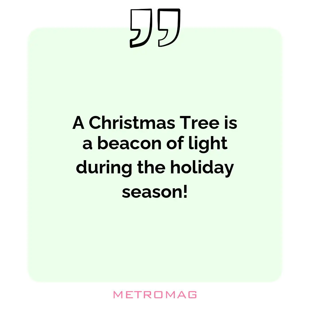 A Christmas Tree is a beacon of light during the holiday season!