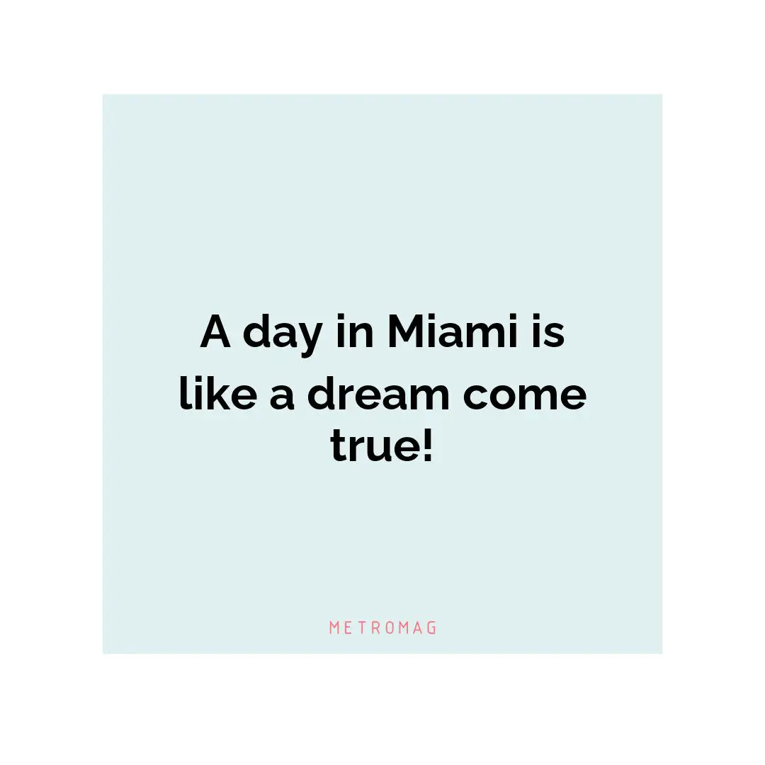 A day in Miami is like a dream come true!