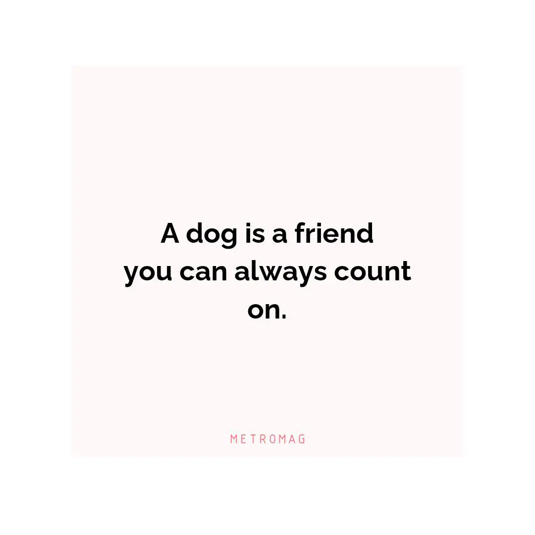 A dog is a friend you can always count on.