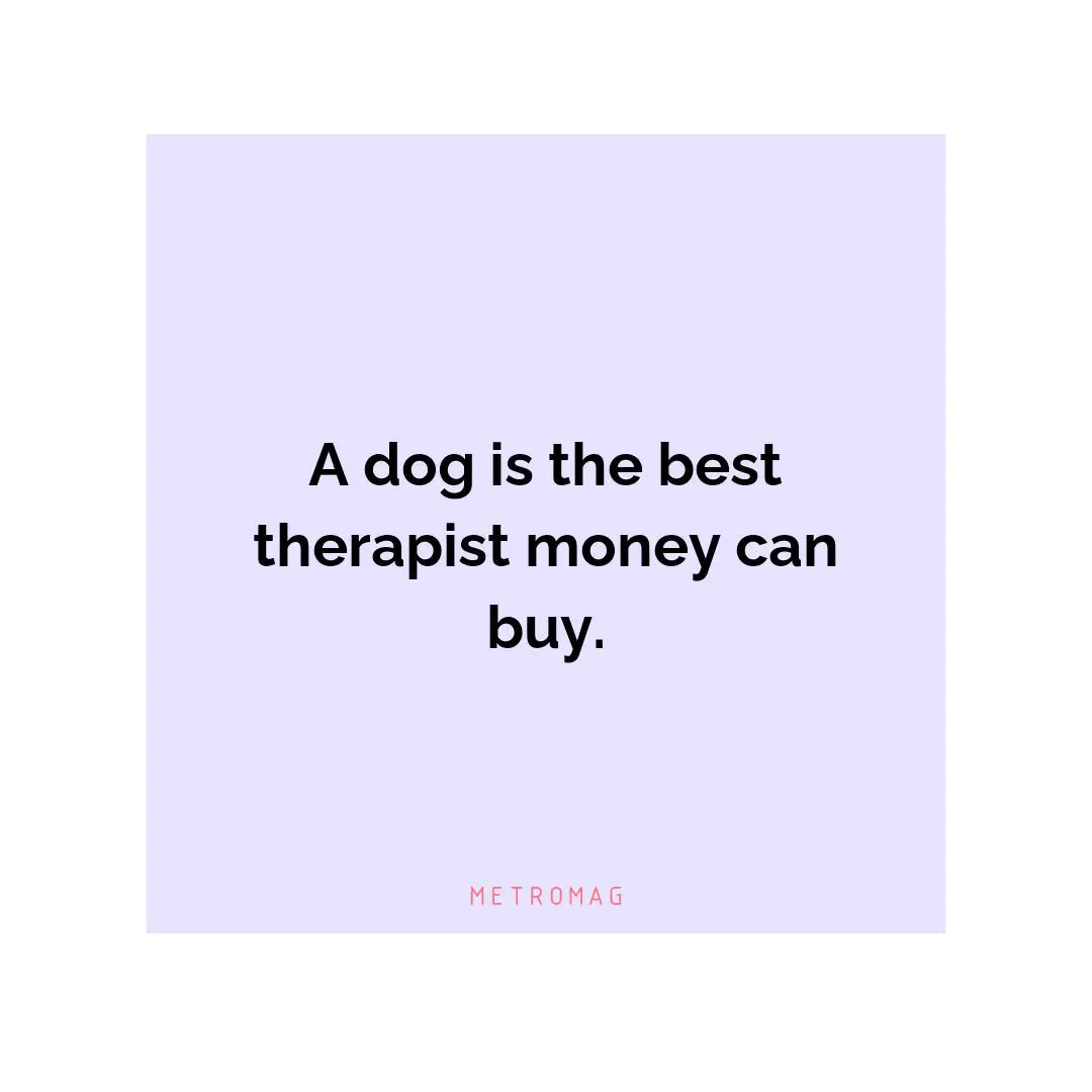 A dog is the best therapist money can buy.