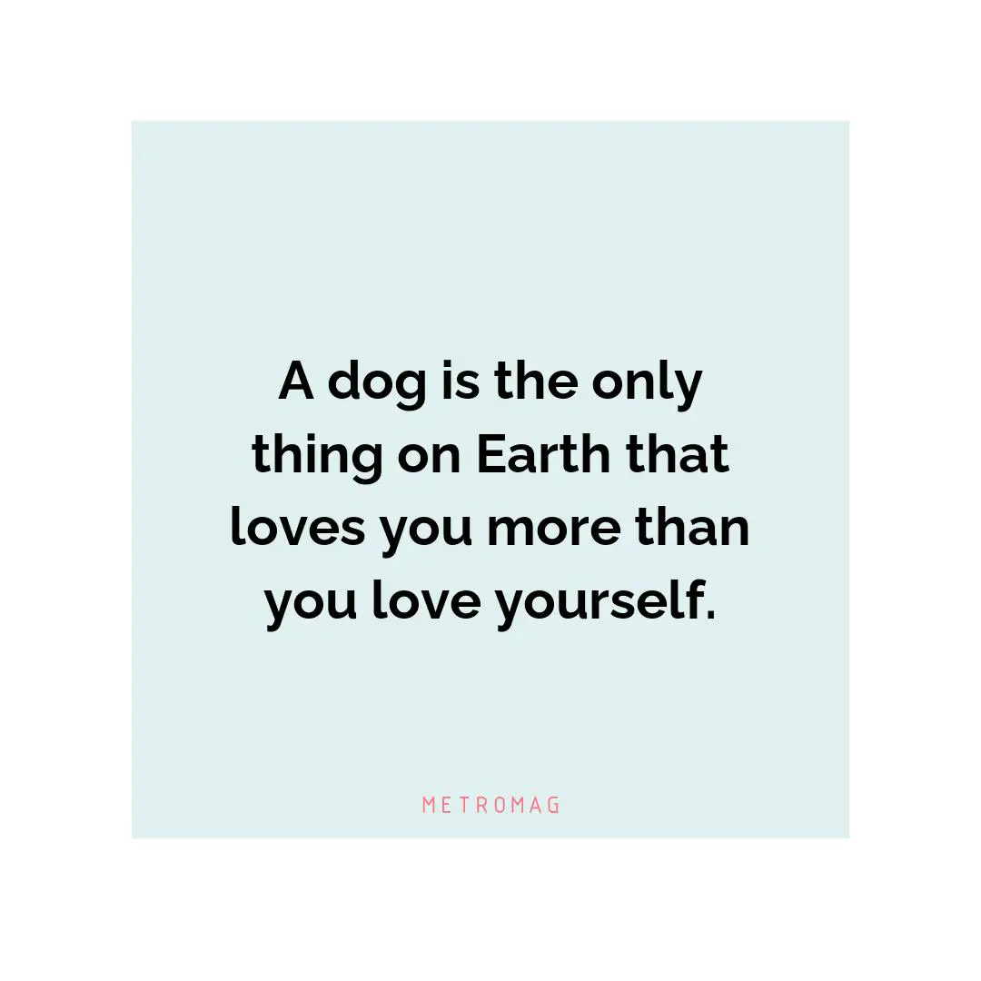 A dog is the only thing on Earth that loves you more than you love yourself.