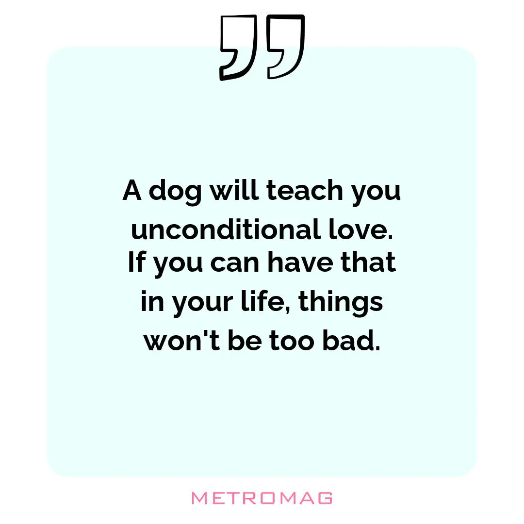 A dog will teach you unconditional love. If you can have that in your life, things won't be too bad.