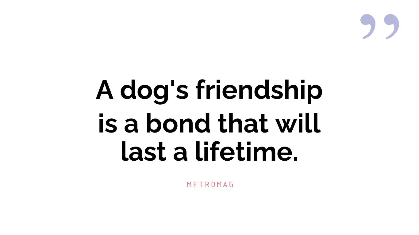 A dog's friendship is a bond that will last a lifetime.