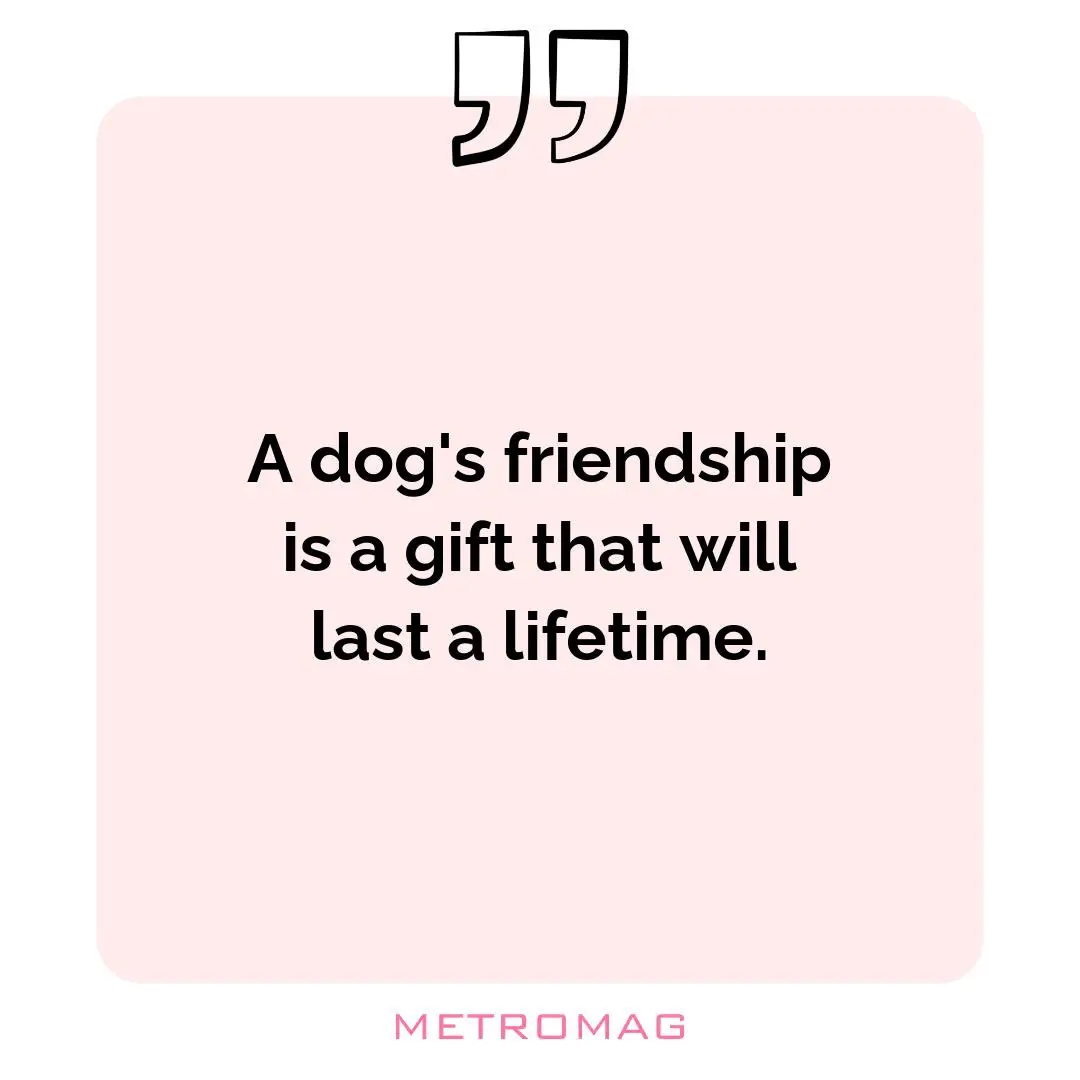 A dog's friendship is a gift that will last a lifetime.
