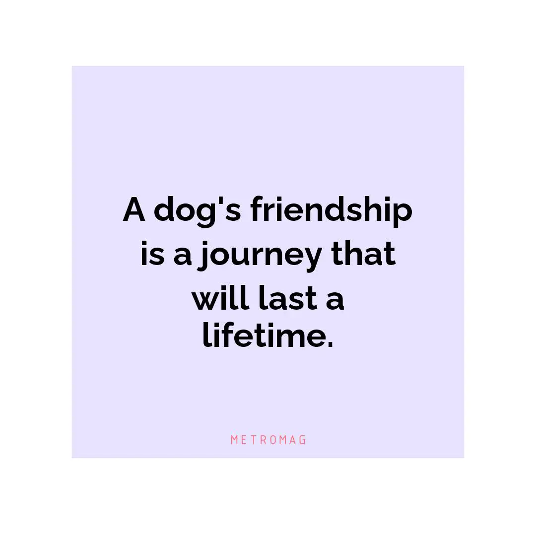 A dog's friendship is a journey that will last a lifetime.