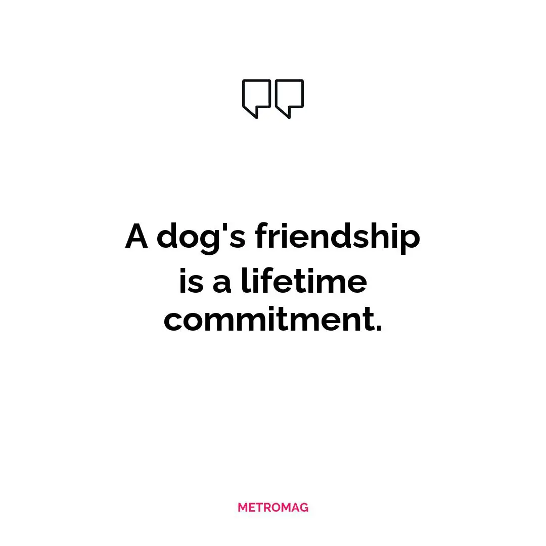 A dog's friendship is a lifetime commitment.