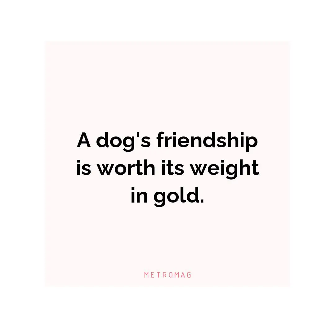 A dog's friendship is worth its weight in gold.