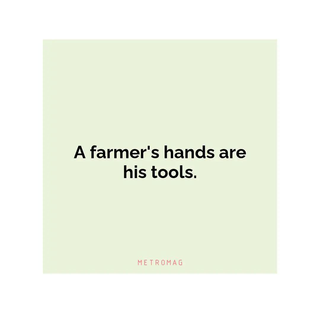 A farmer's hands are his tools.