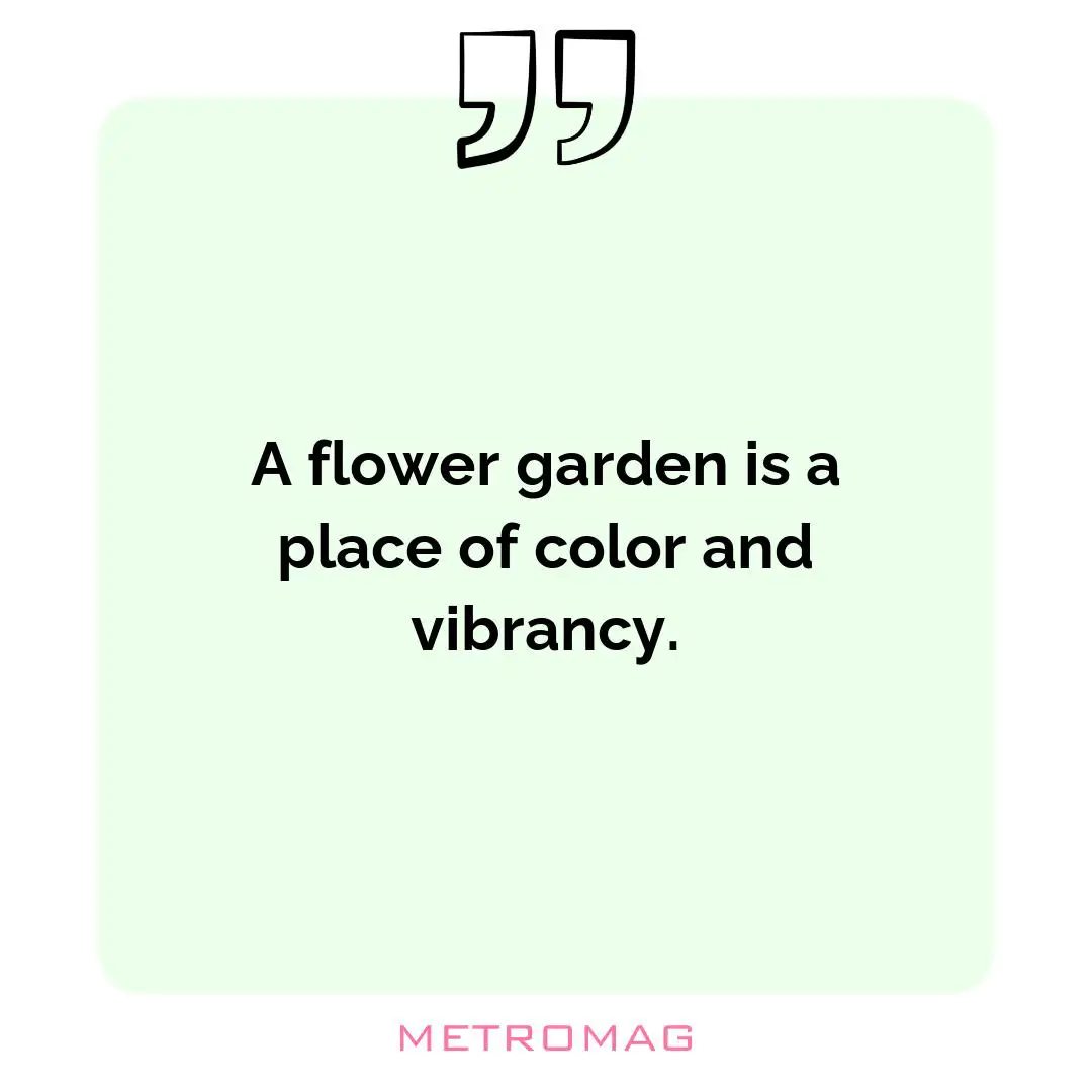 A flower garden is a place of color and vibrancy.