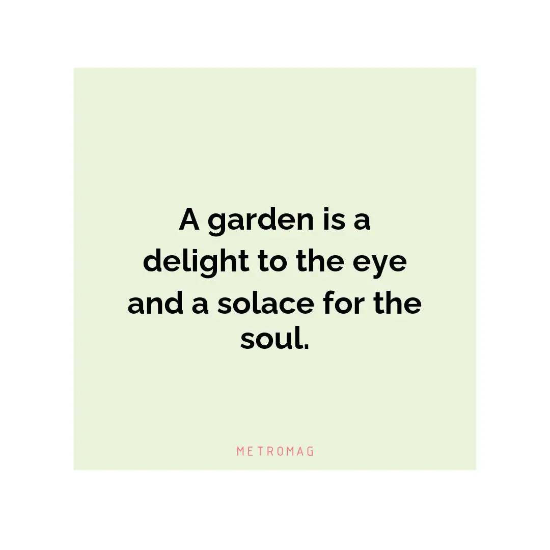 A garden is a delight to the eye and a solace for the soul.
