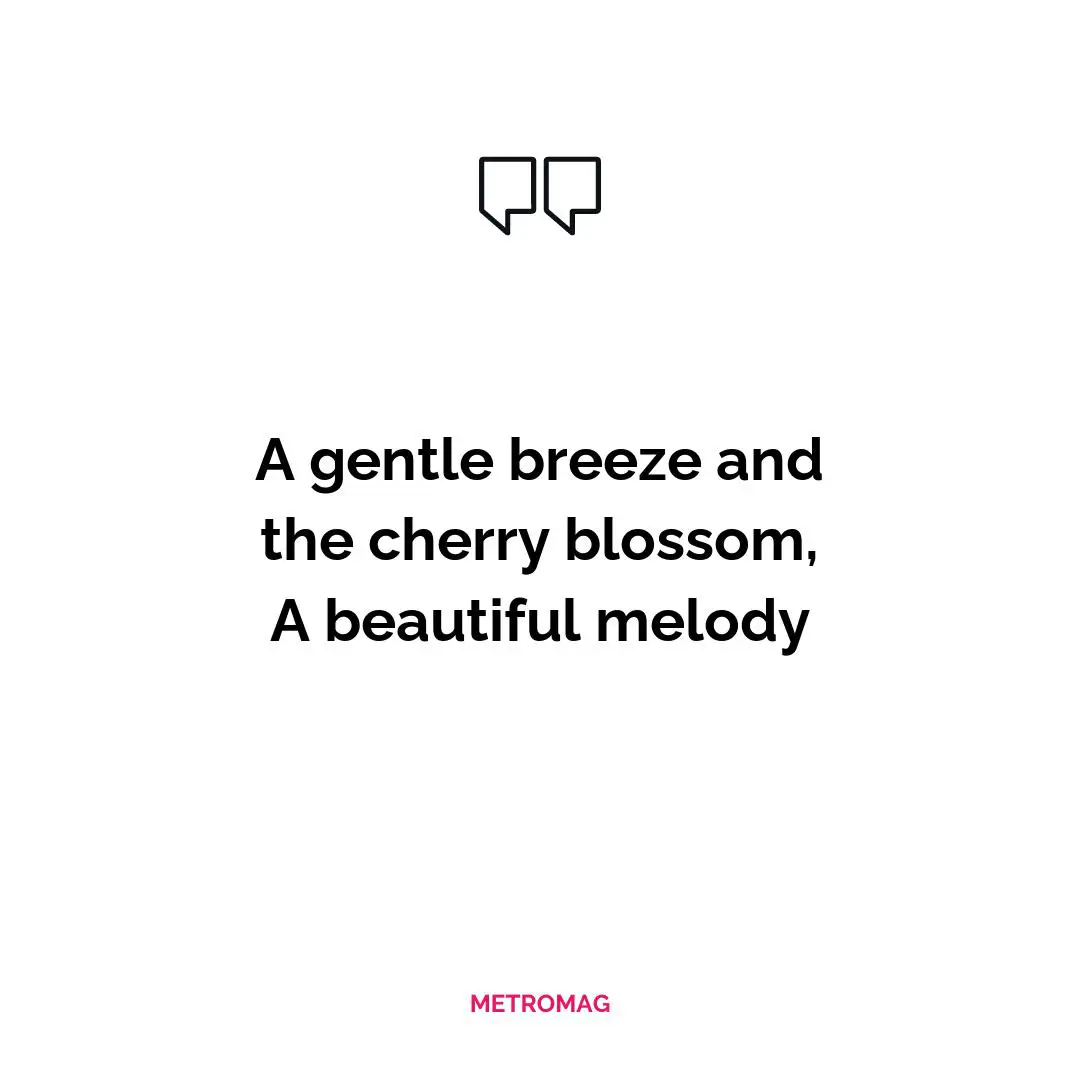 A gentle breeze and the cherry blossom, A beautiful melody