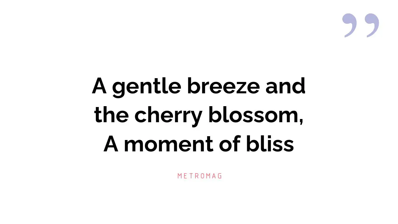 A gentle breeze and the cherry blossom, A moment of bliss