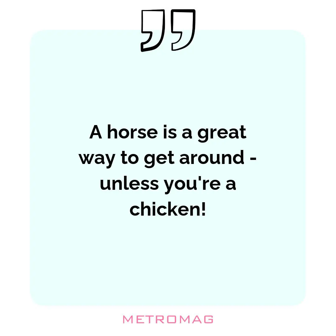 A horse is a great way to get around - unless you're a chicken!