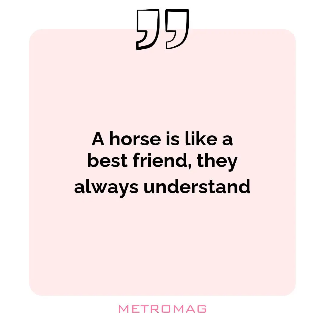 A horse is like a best friend, they always understand