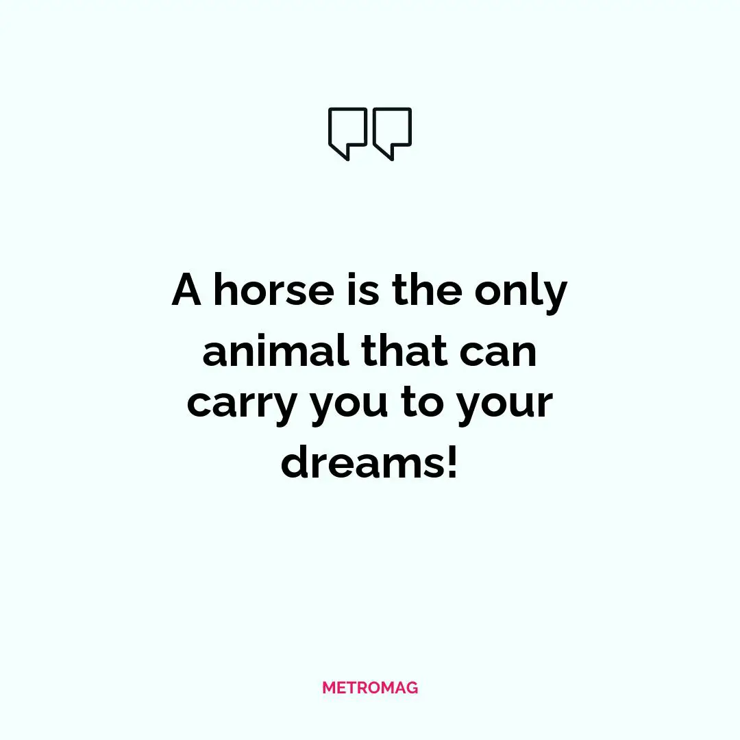 A horse is the only animal that can carry you to your dreams!