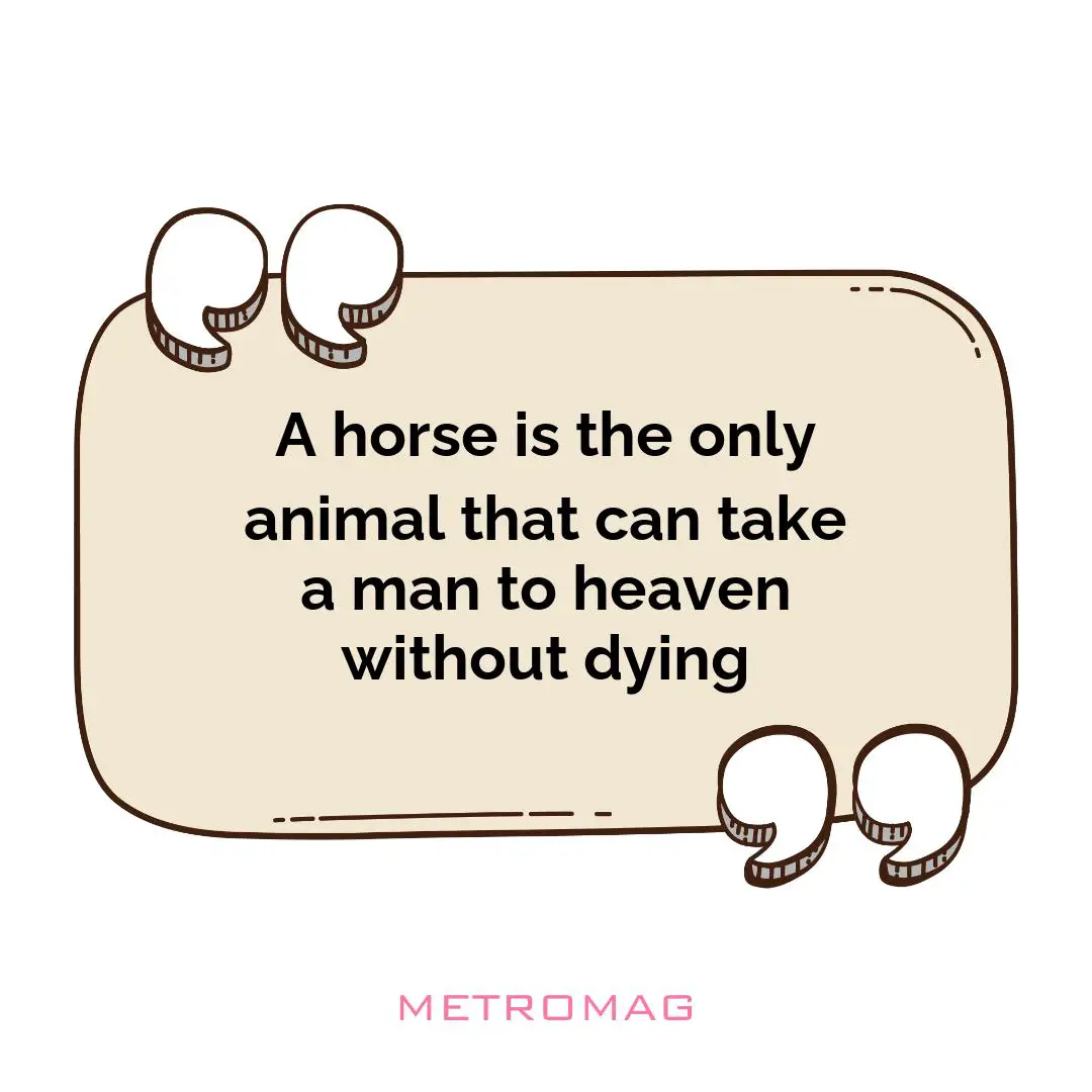 A horse is the only animal that can take a man to heaven without dying