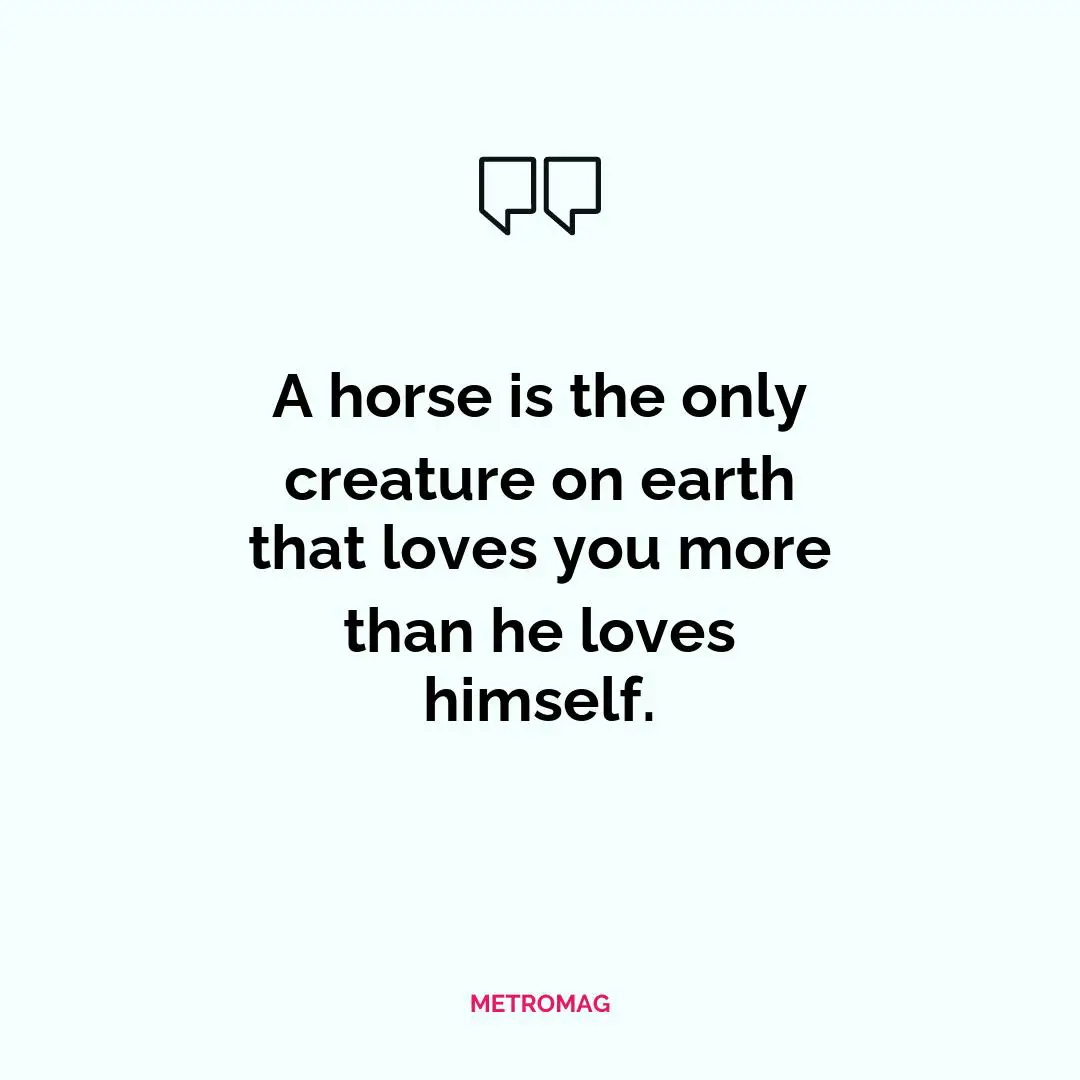 A horse is the only creature on earth that loves you more than he loves himself.