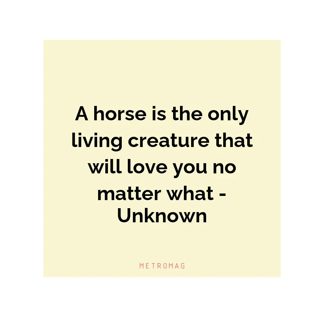 A horse is the only living creature that will love you no matter what - Unknown