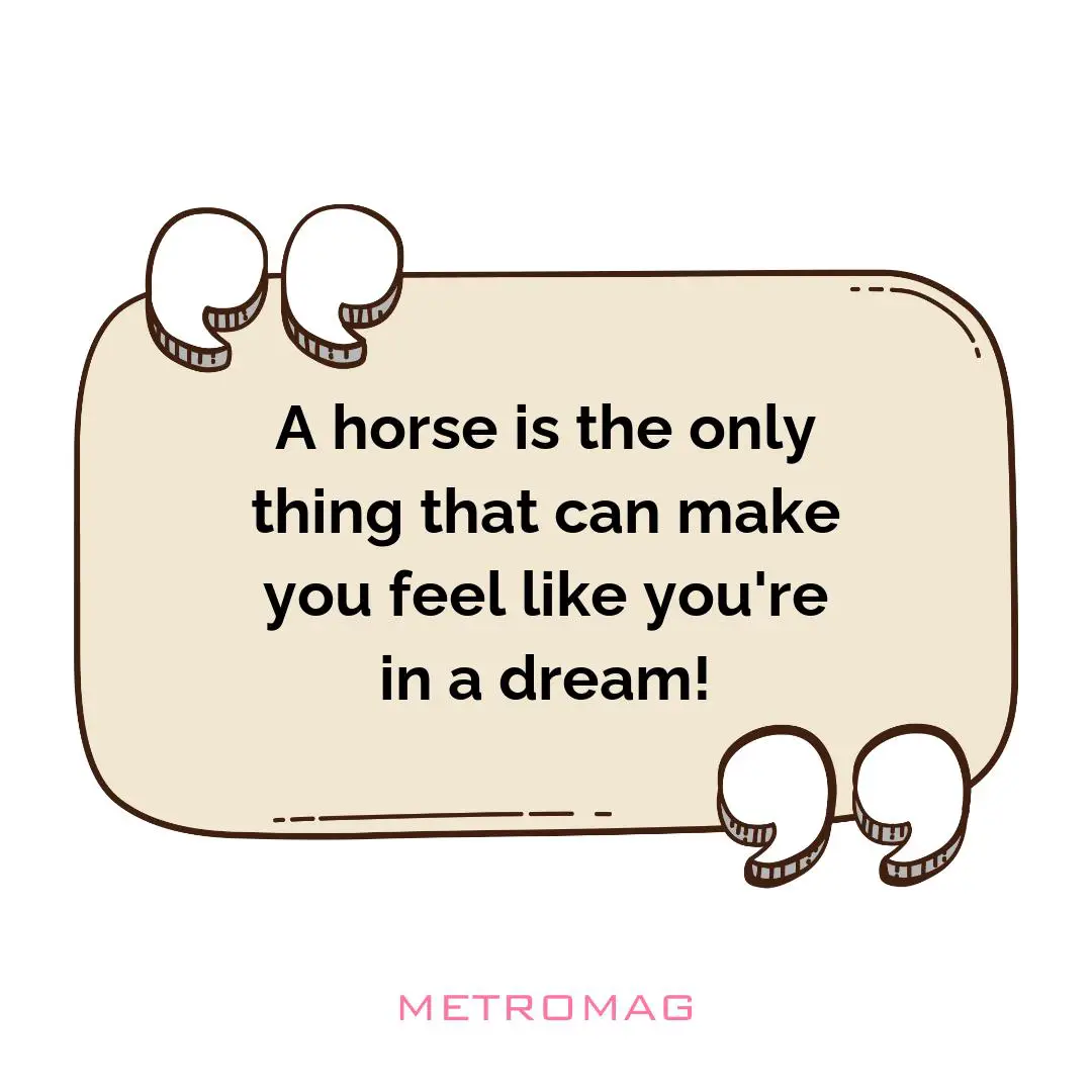 A horse is the only thing that can make you feel like you're in a dream!