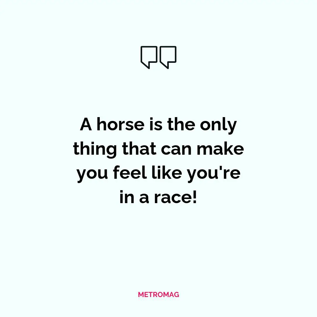 A horse is the only thing that can make you feel like you're in a race!