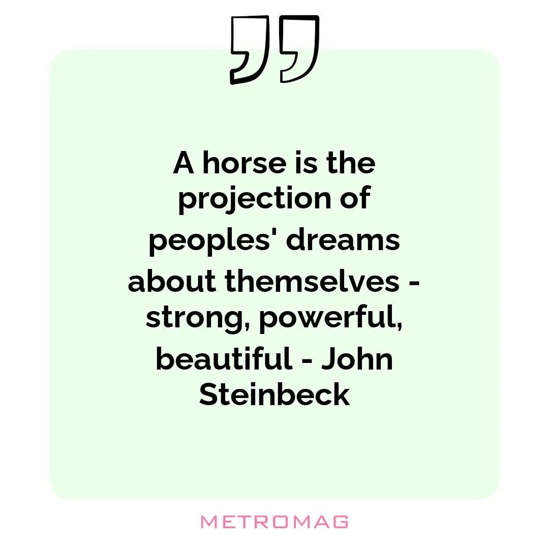 A horse is the projection of peoples' dreams about themselves - strong, powerful, beautiful - John Steinbeck
