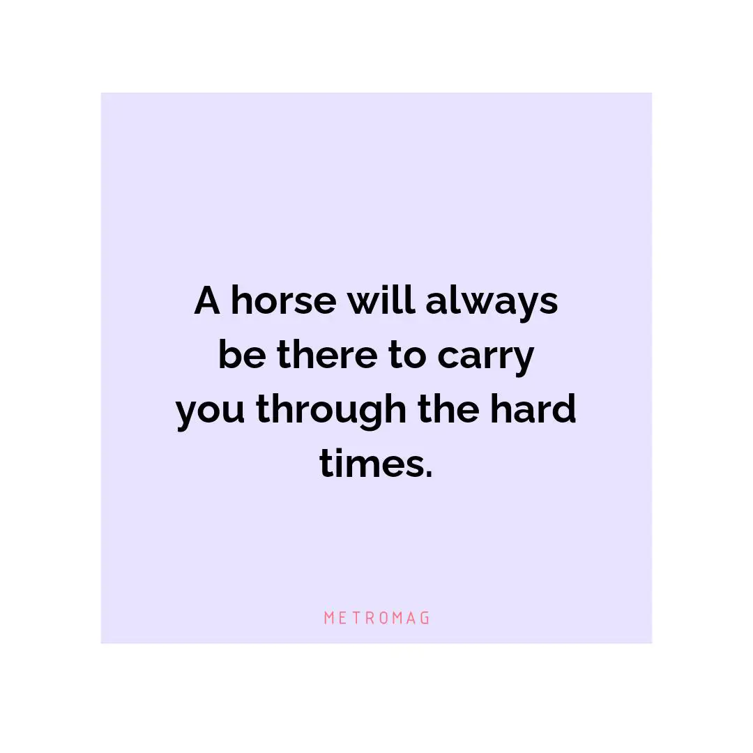 A horse will always be there to carry you through the hard times.