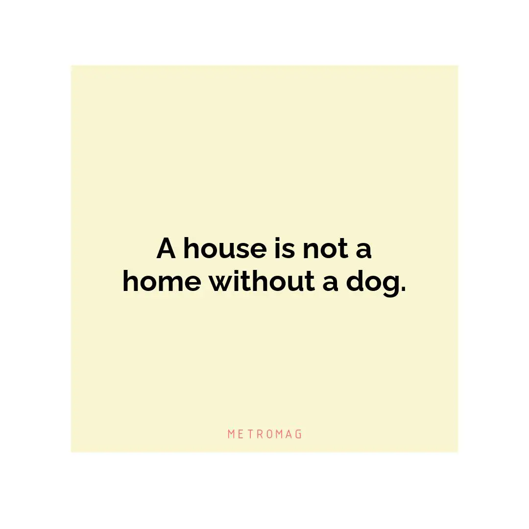 A house is not a home without a dog.