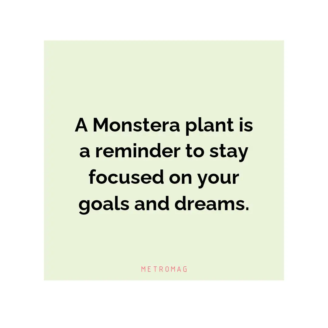 A Monstera plant is a reminder to stay focused on your goals and dreams.