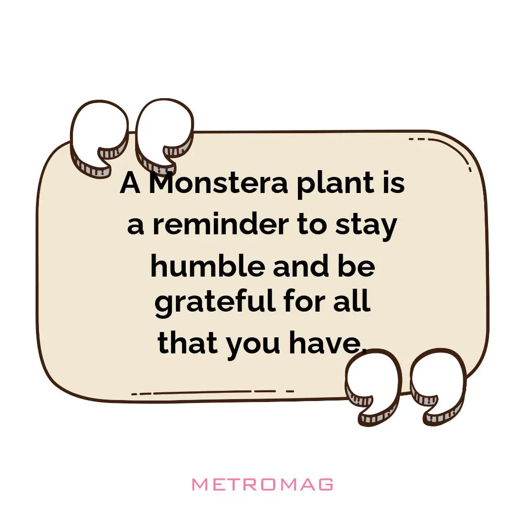 A Monstera plant is a reminder to stay humble and be grateful for all that you have.