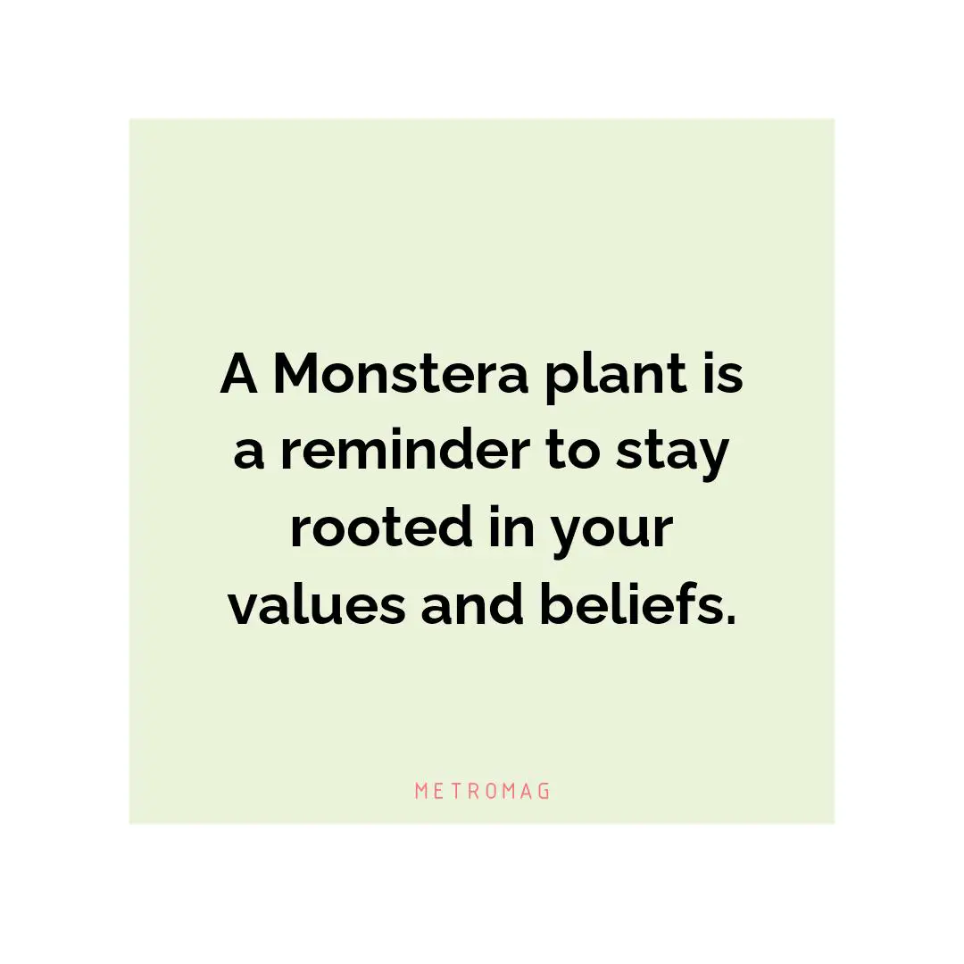 A Monstera plant is a reminder to stay rooted in your values and beliefs.