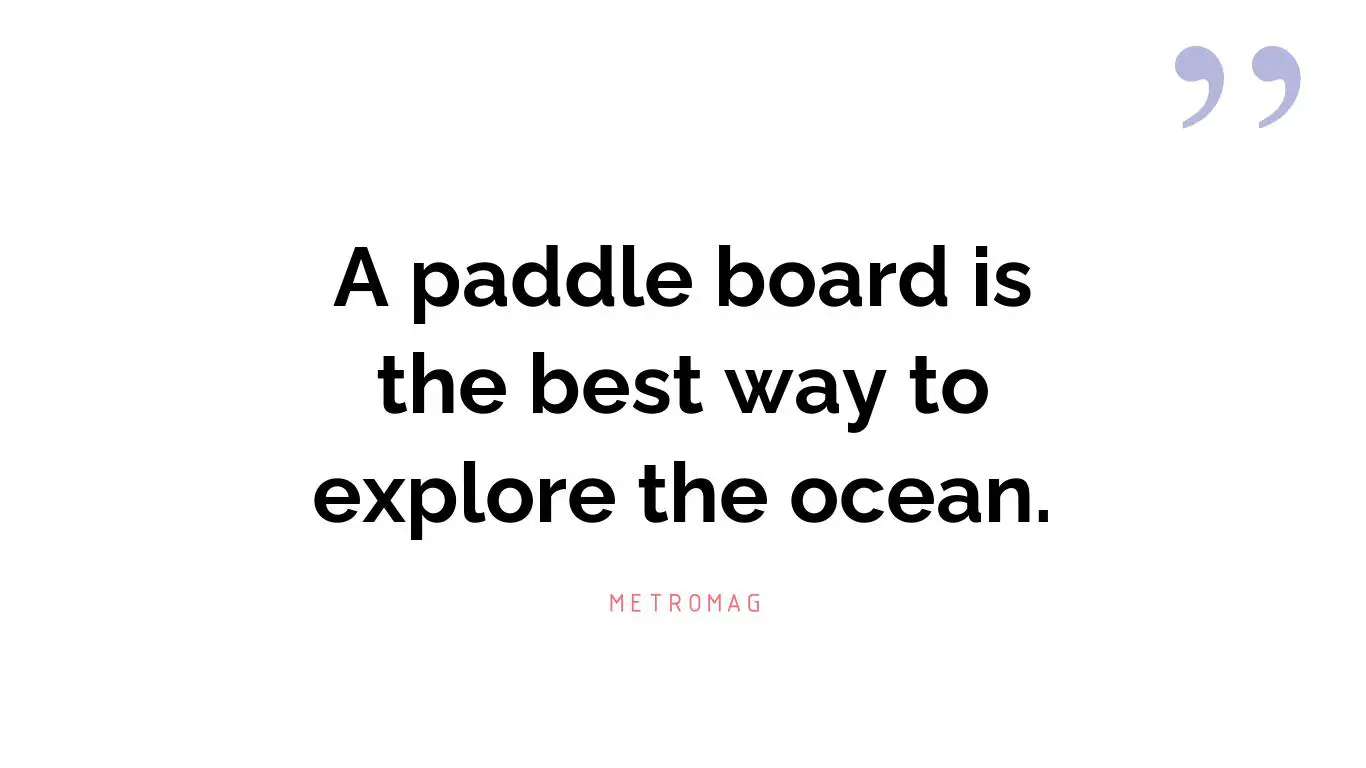 A paddle board is the best way to explore the ocean.