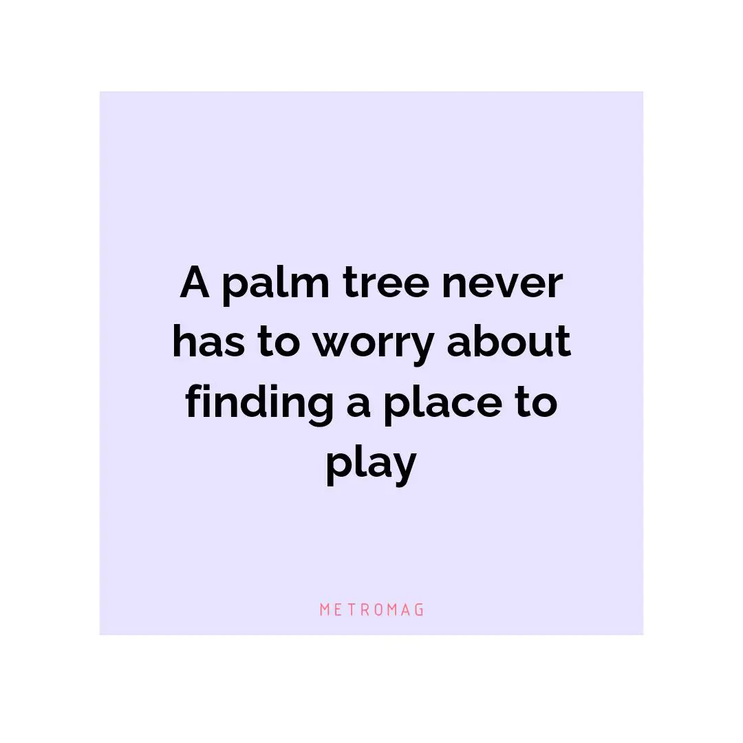 A palm tree never has to worry about finding a place to play