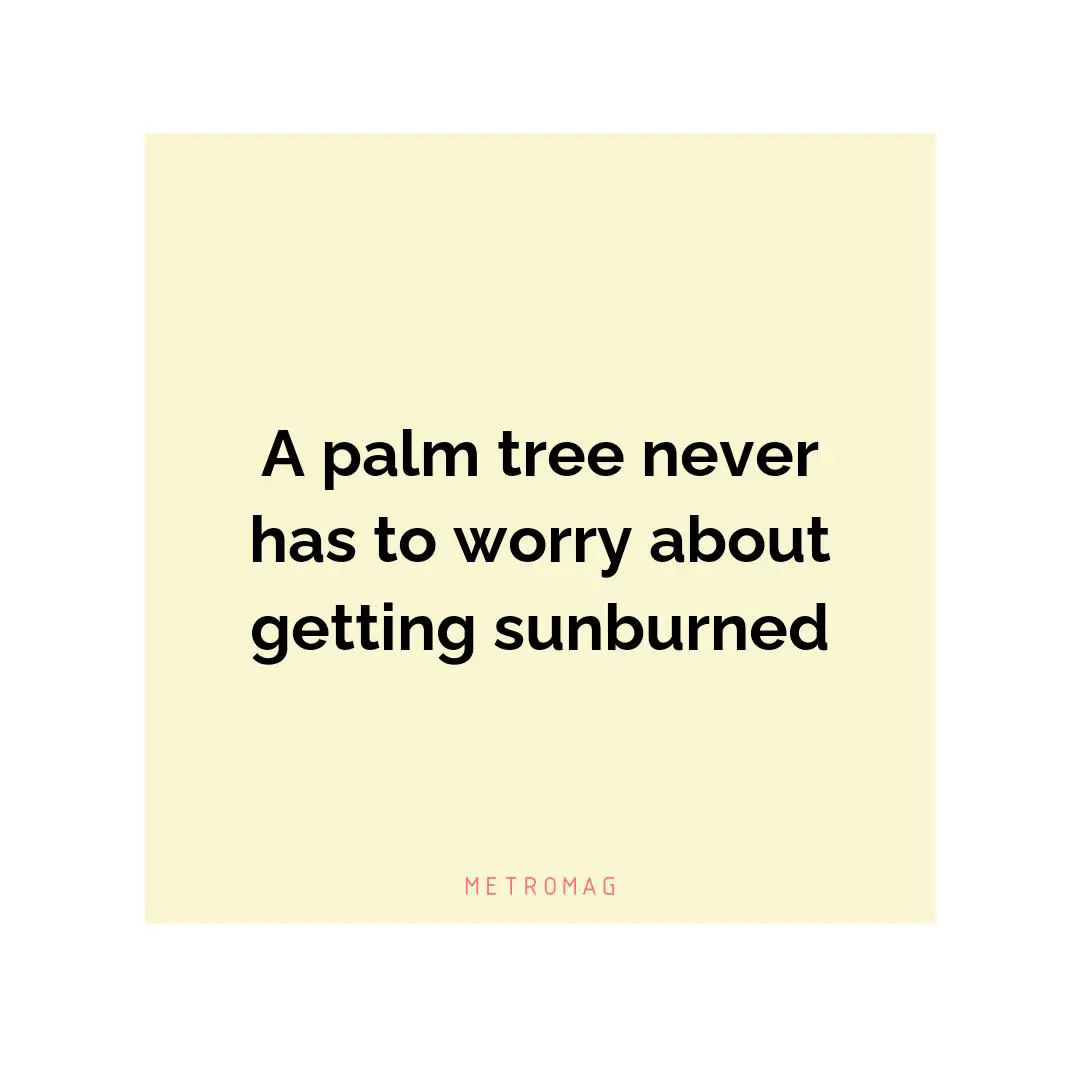 A palm tree never has to worry about getting sunburned
