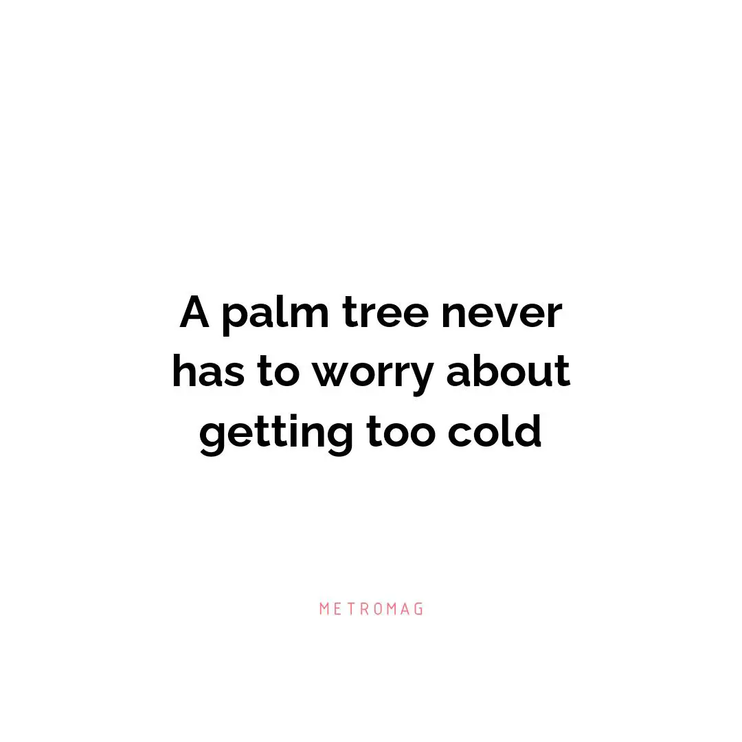 A palm tree never has to worry about getting too cold