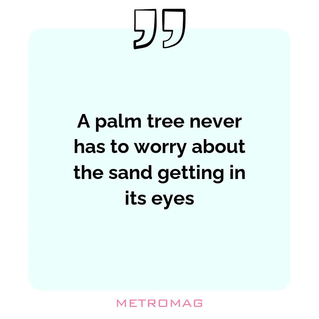 A palm tree never has to worry about the sand getting in its eyes