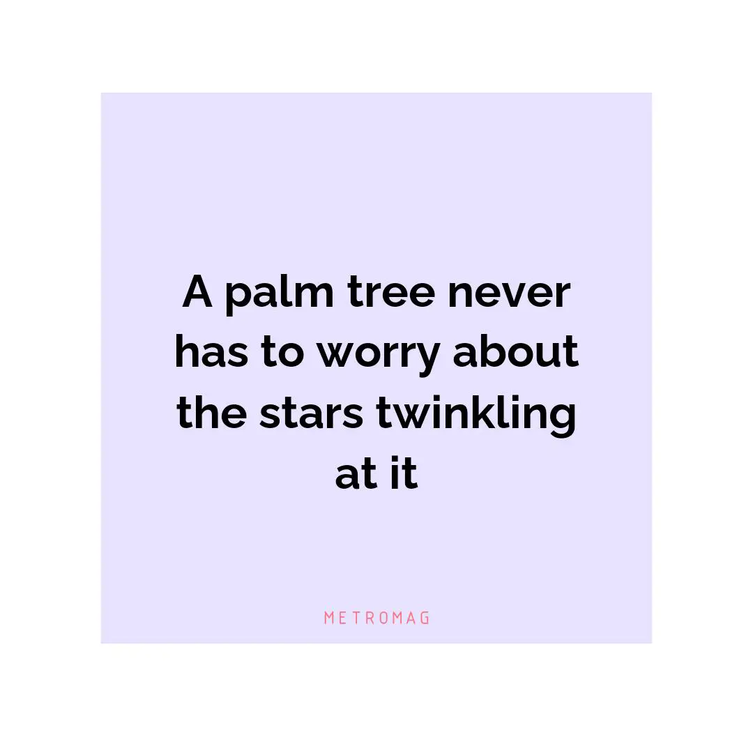 A palm tree never has to worry about the stars twinkling at it