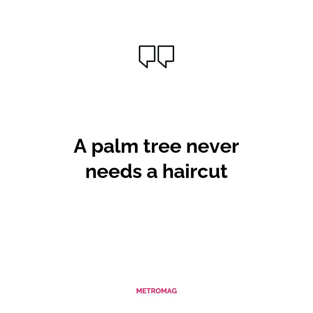 A palm tree never needs a haircut