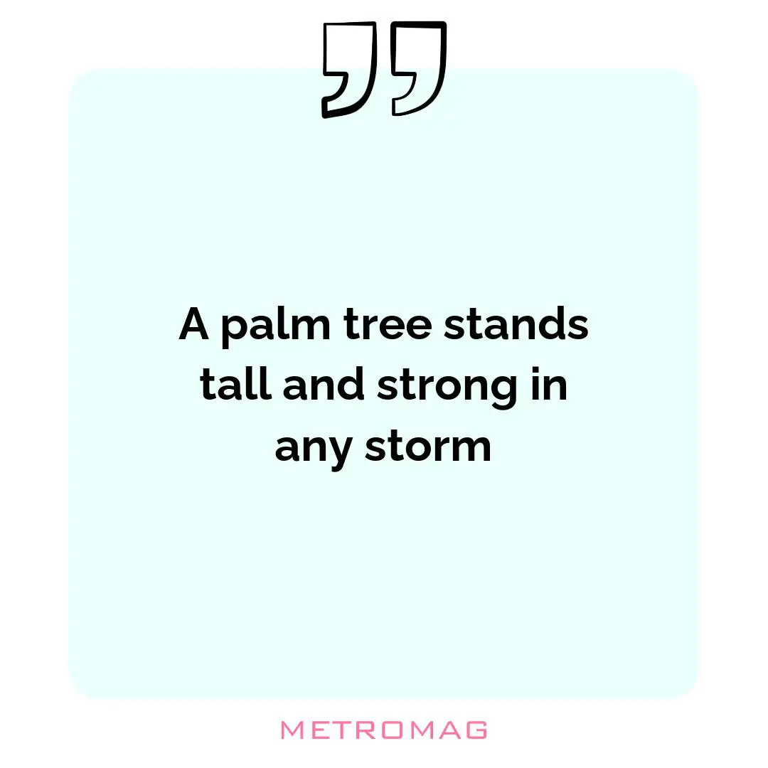 A palm tree stands tall and strong in any storm