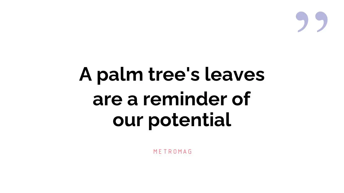 A palm tree's leaves are a reminder of our potential